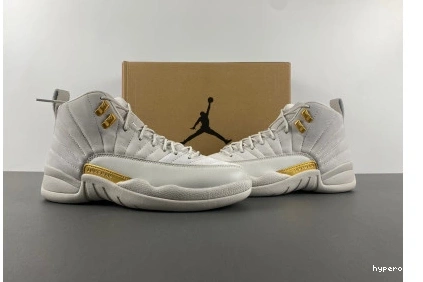 Hyperoad Air Jordan 12 